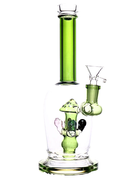 Glass water pipe straight tube with mushroom percs available for sale at High Roller Smoke in Lakewood, Colorado. 